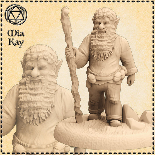Dungeons & Dragons Forest Gnome Miniature