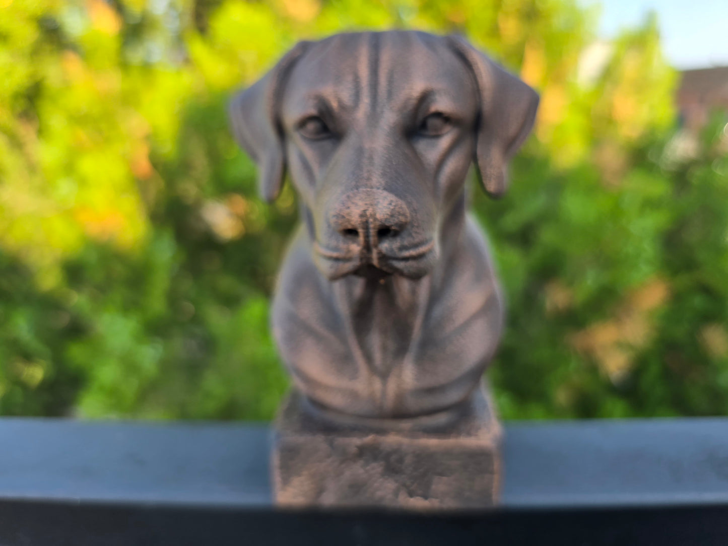 German Shorthaired Pointer Bust