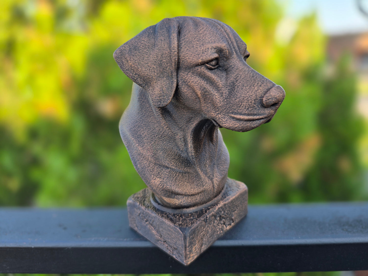German Shorthaired Pointer Bust