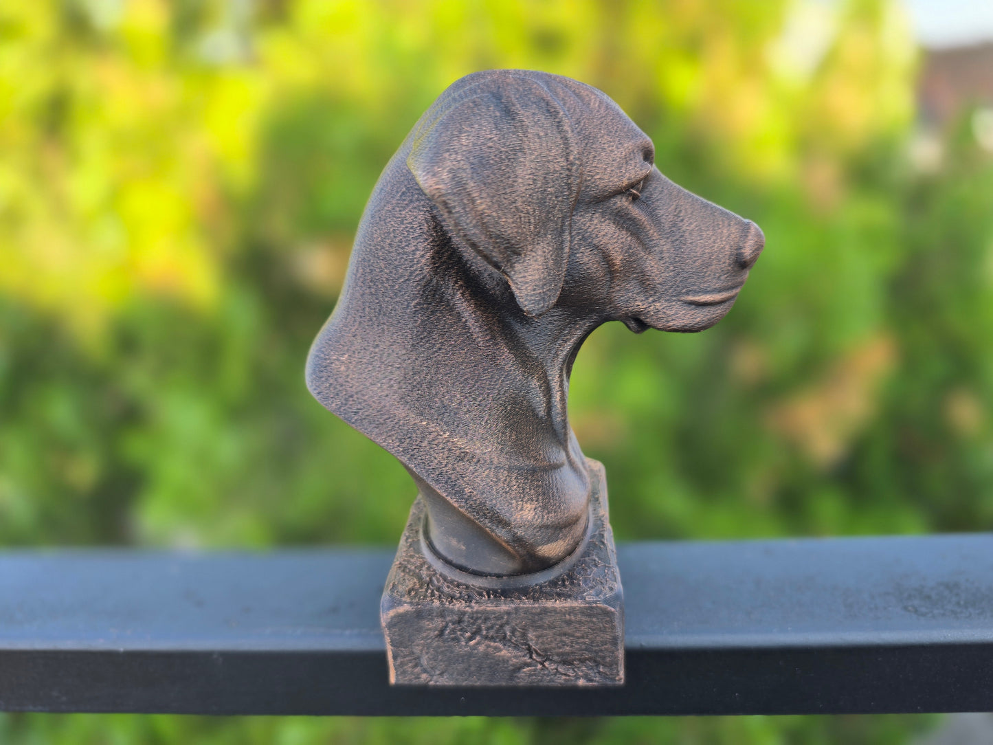 German Shorthaired Pointer Bust