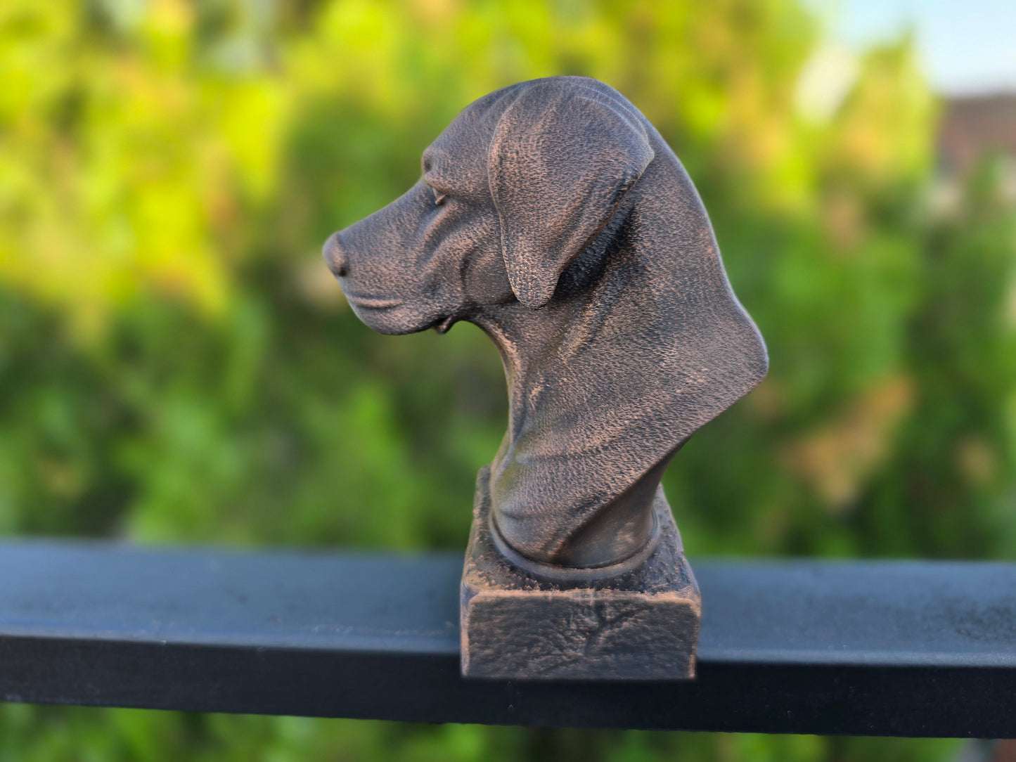 German Shorthaired Pointer Bust