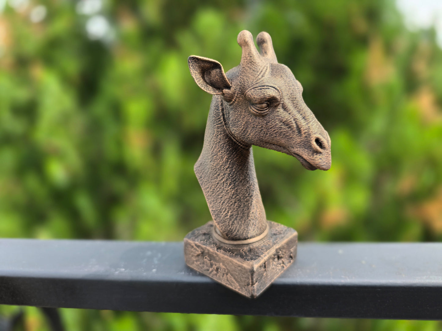 Giraffe Bust