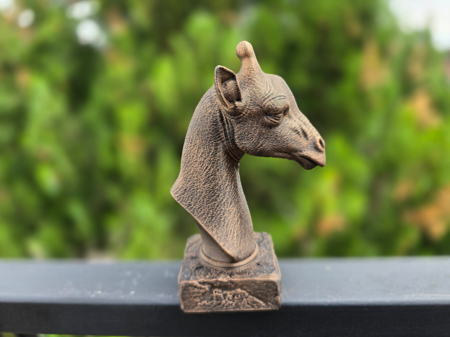 Giraffe Bust