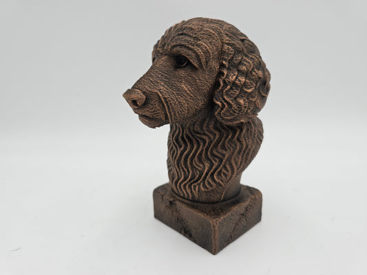 Goldendoodle Bust