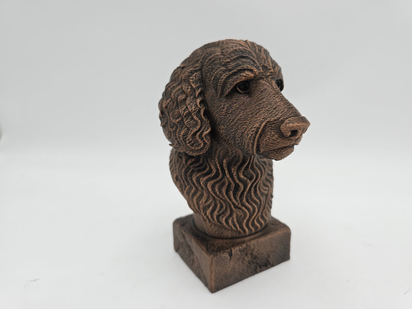 Goldendoodle Bust