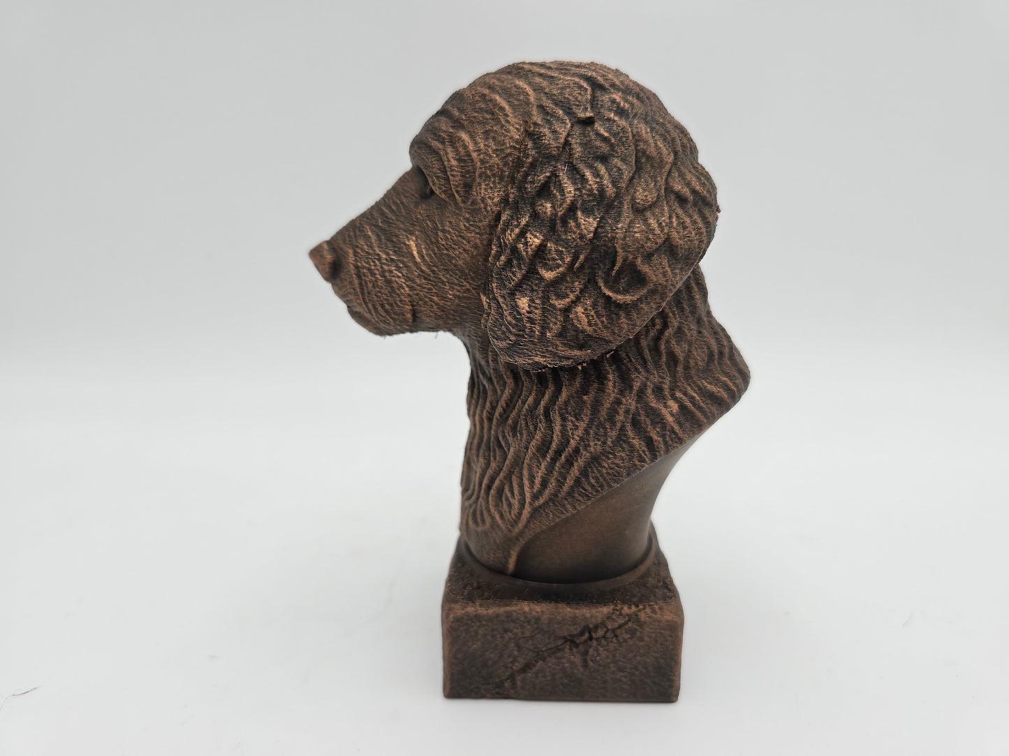 Goldendoodle Bust