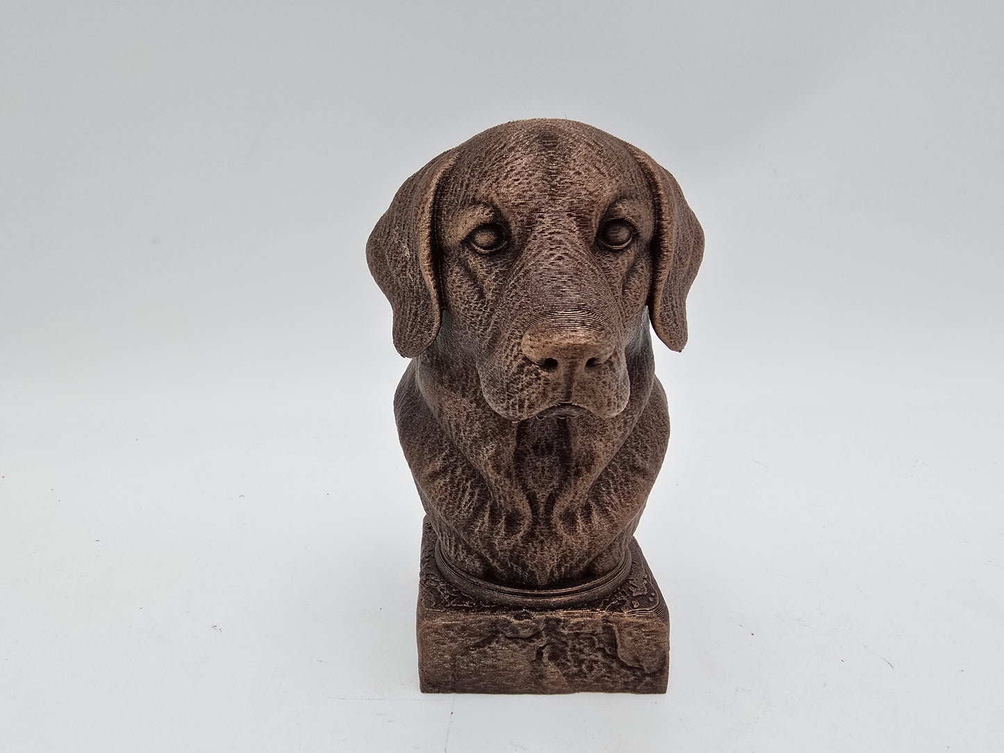 Golden Retriever Bust