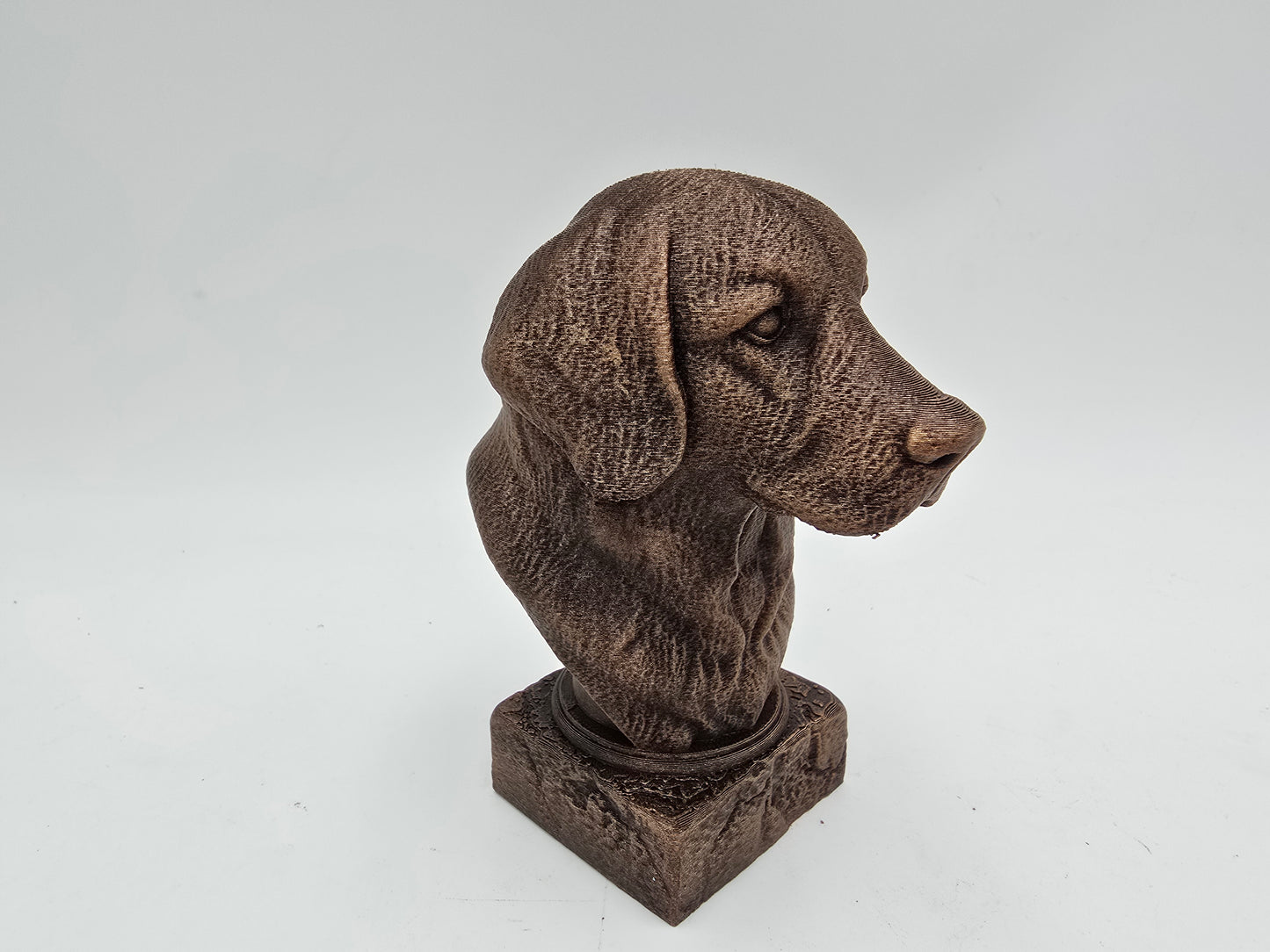 Golden Retriever Bust