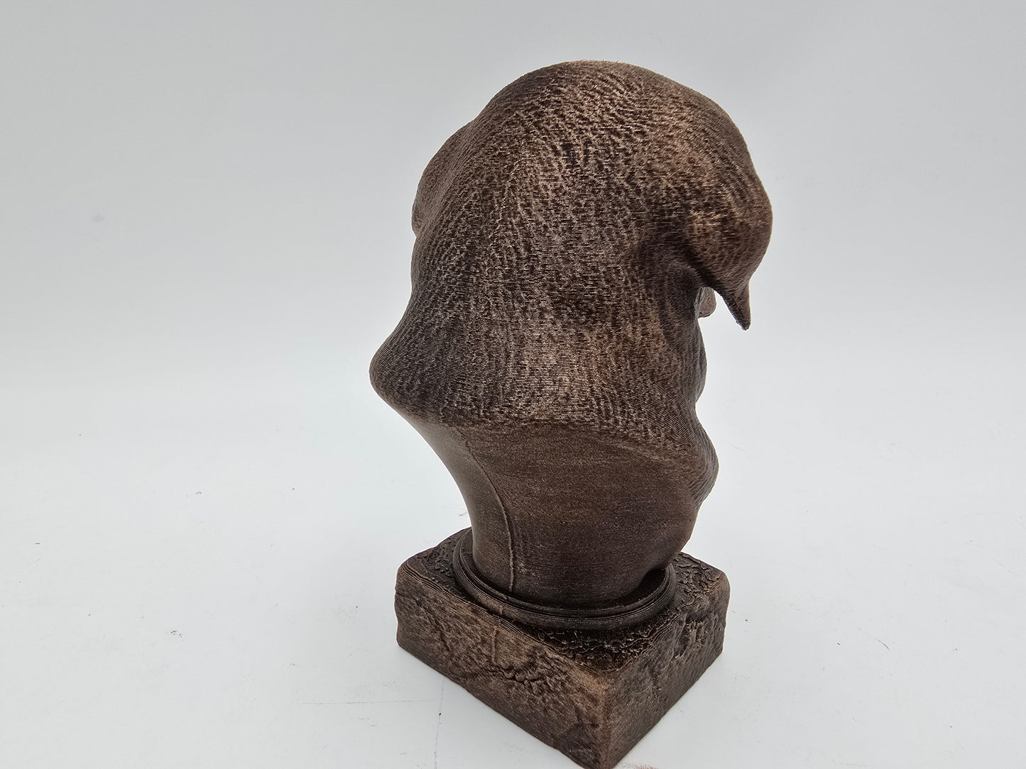 Golden Retriever Bust