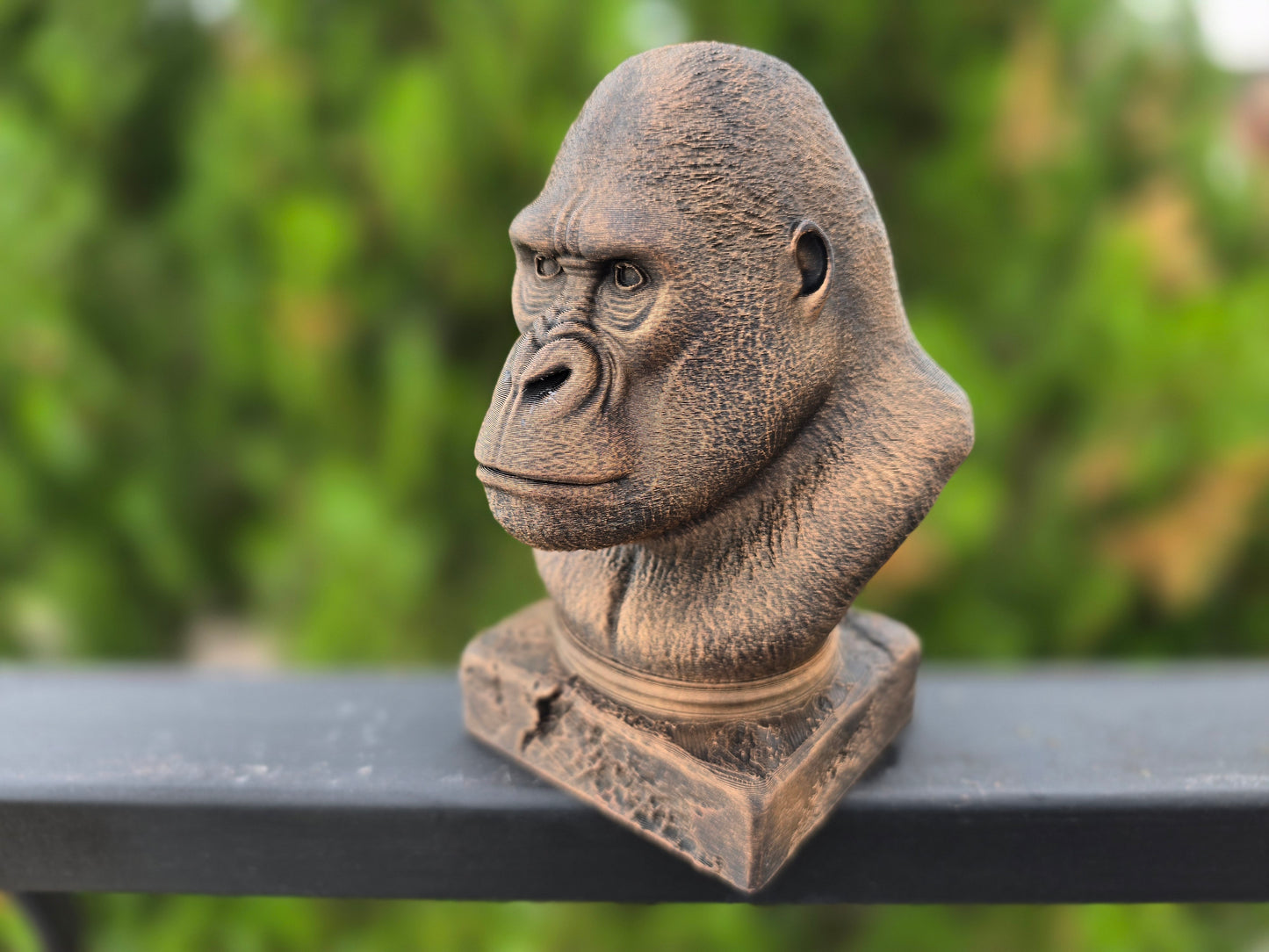 Gorilla Bust