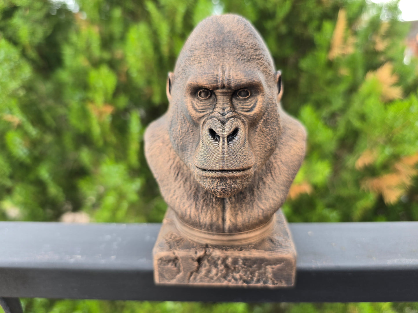 Gorilla Bust