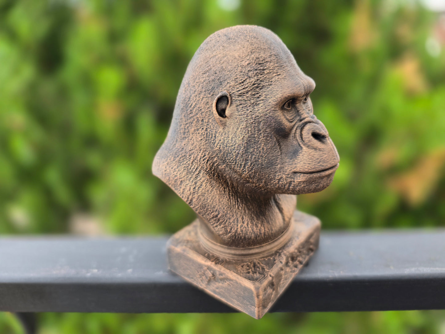 Gorilla Bust