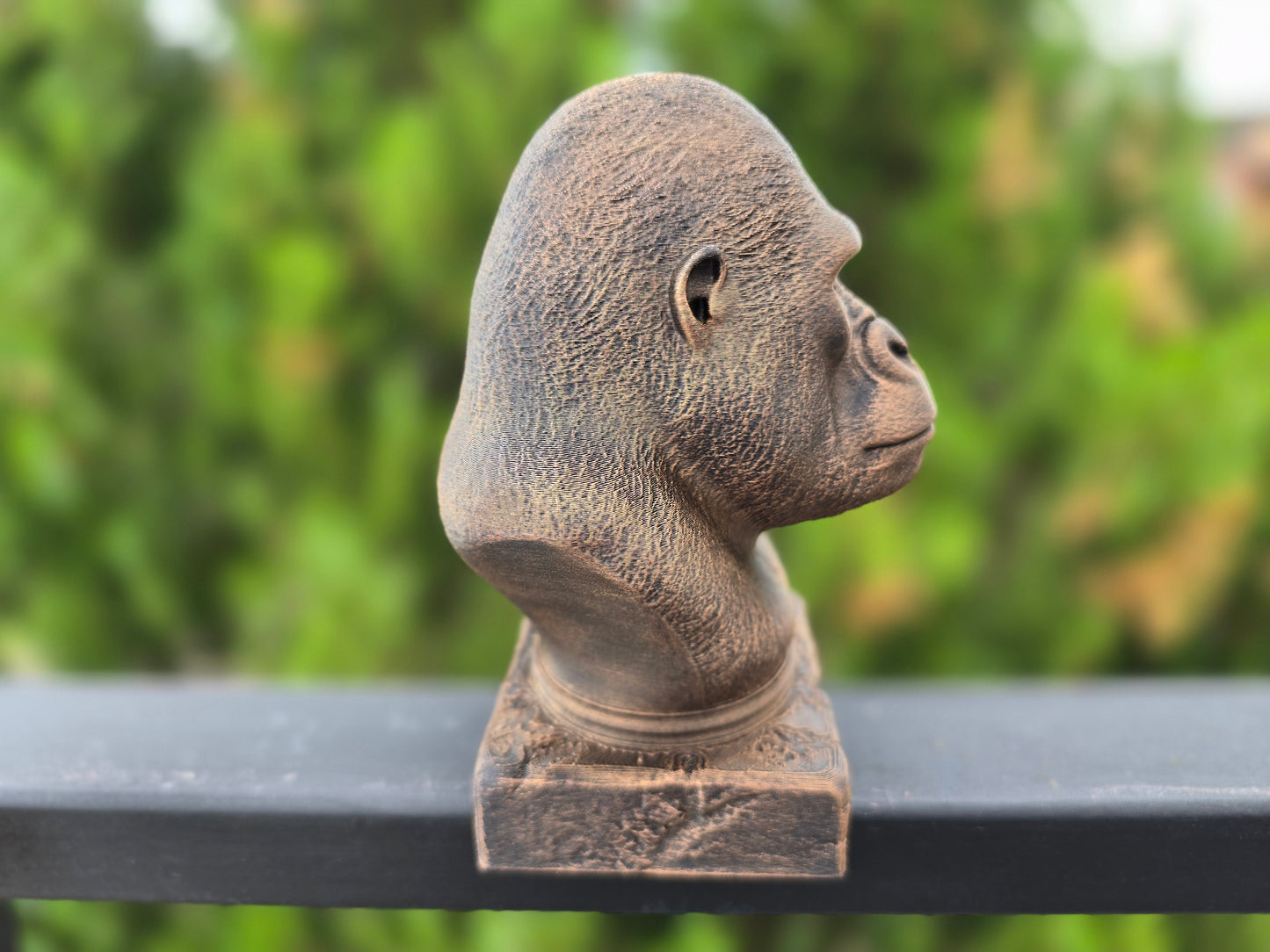 Gorilla Bust