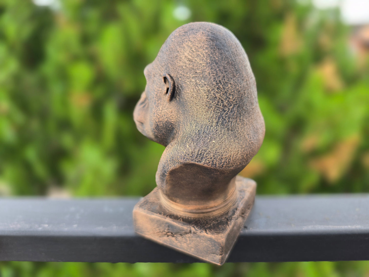 Gorilla Bust