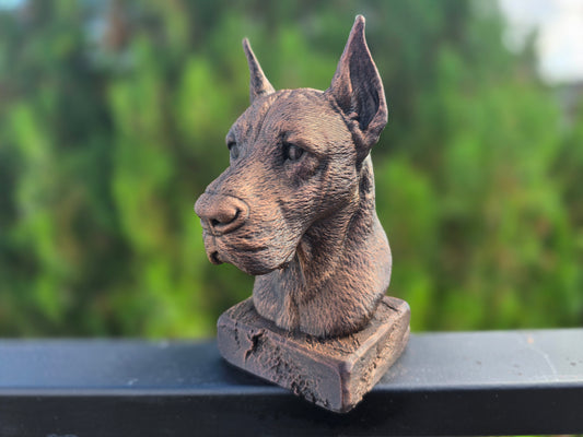 Great Dane Bust