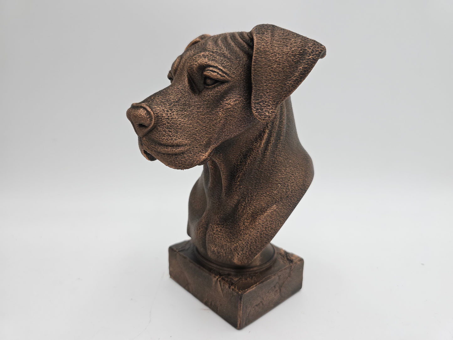Great Dane Bust
