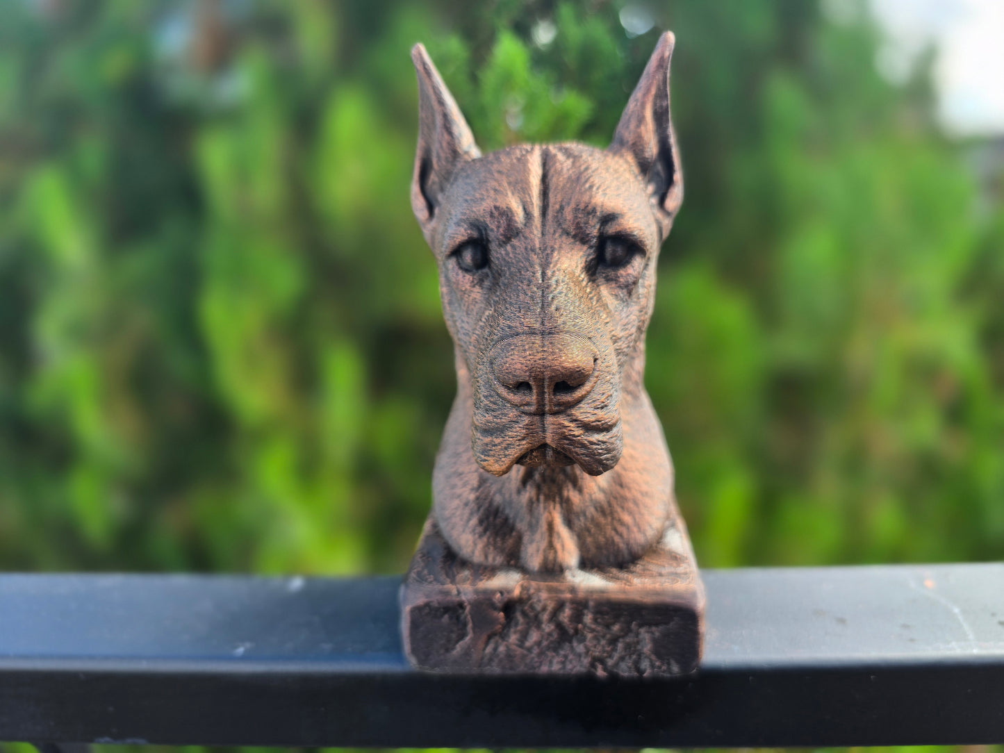 Great Dane Bust
