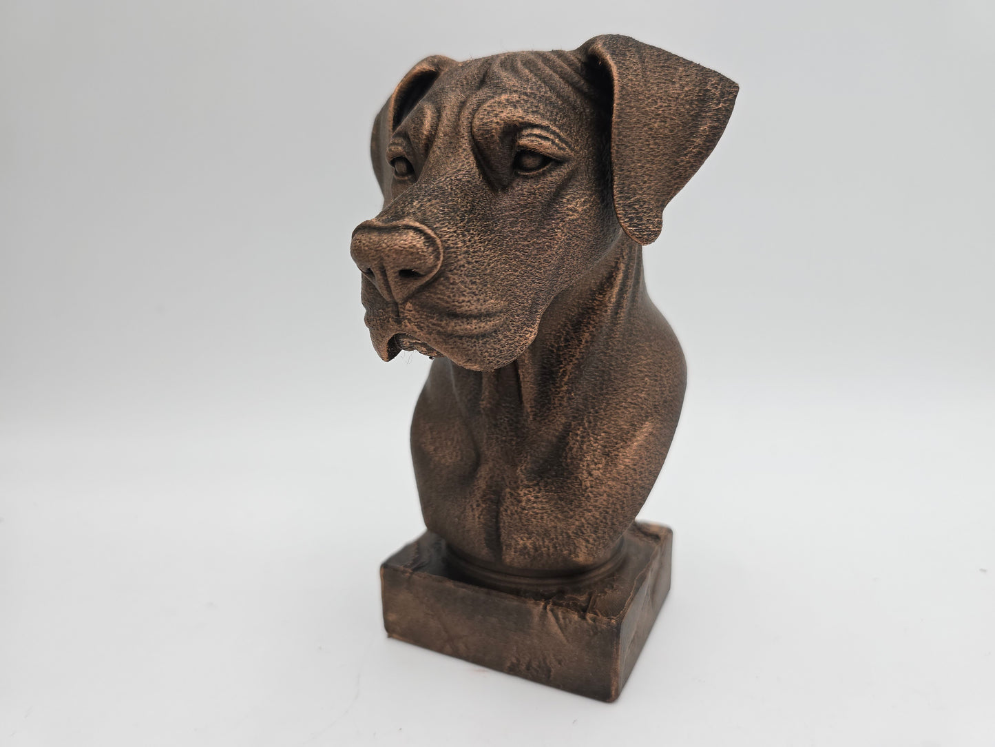 Great Dane Bust