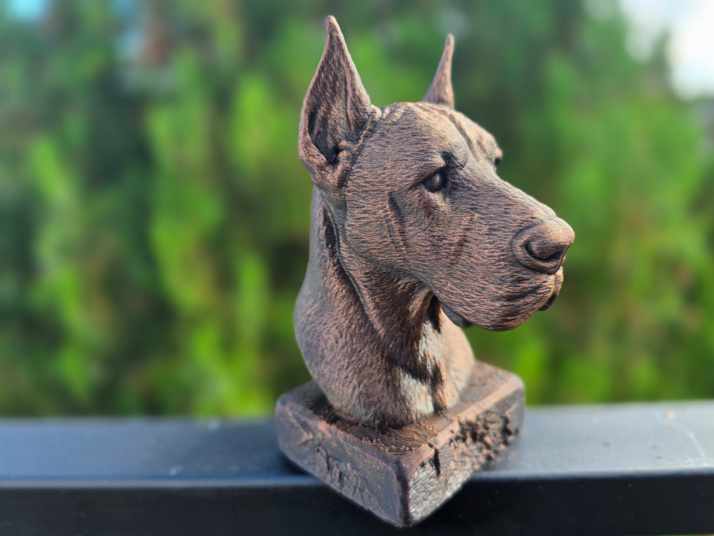 Great Dane Bust