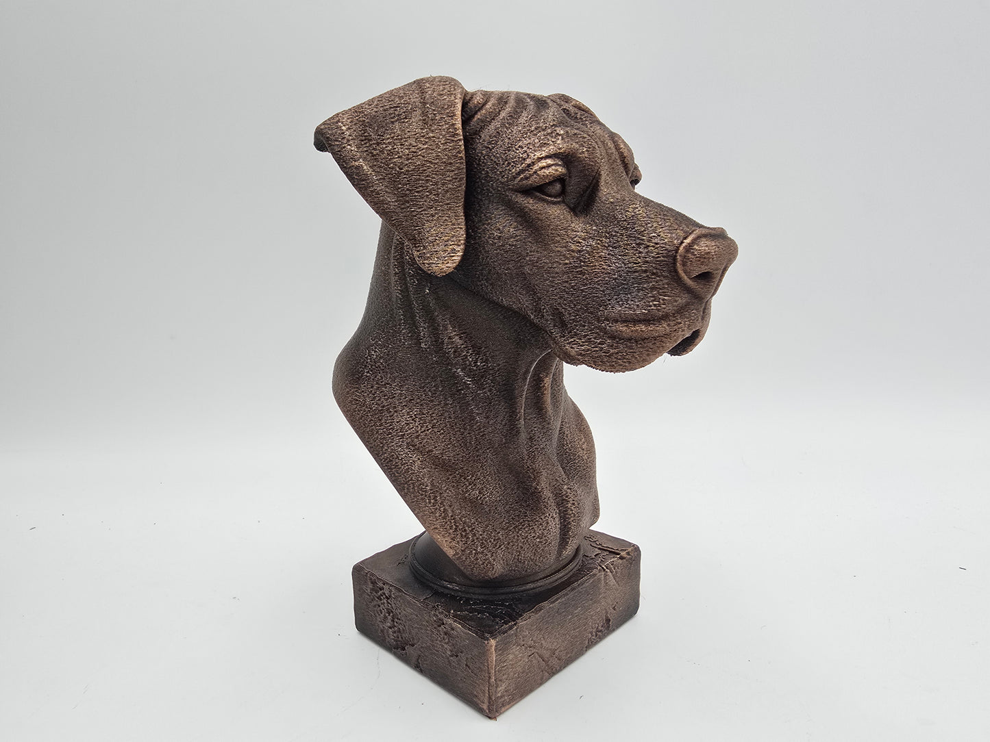 Great Dane Bust