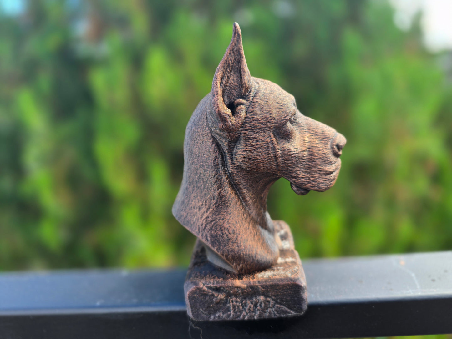 Great Dane Bust