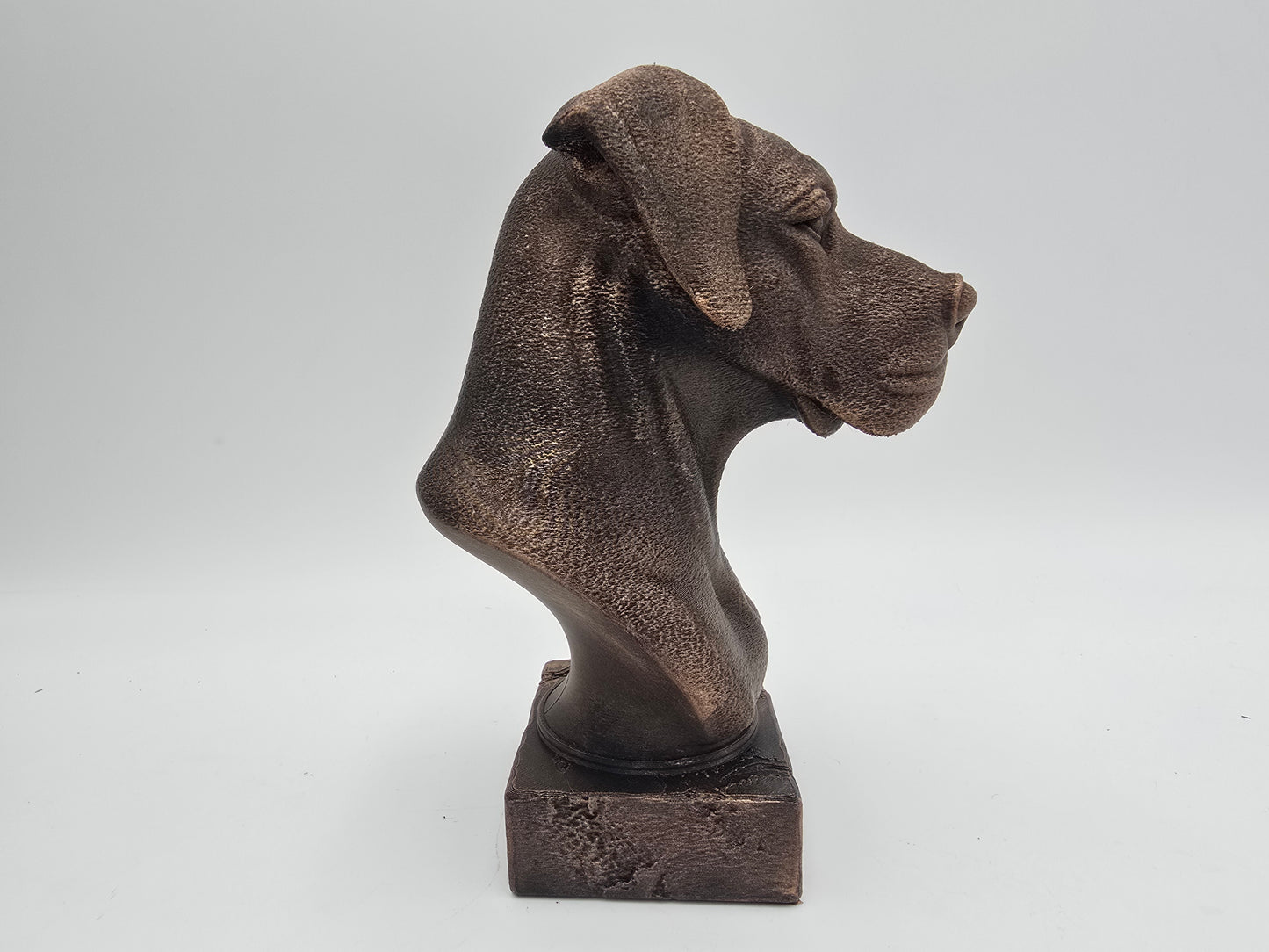 Great Dane Bust