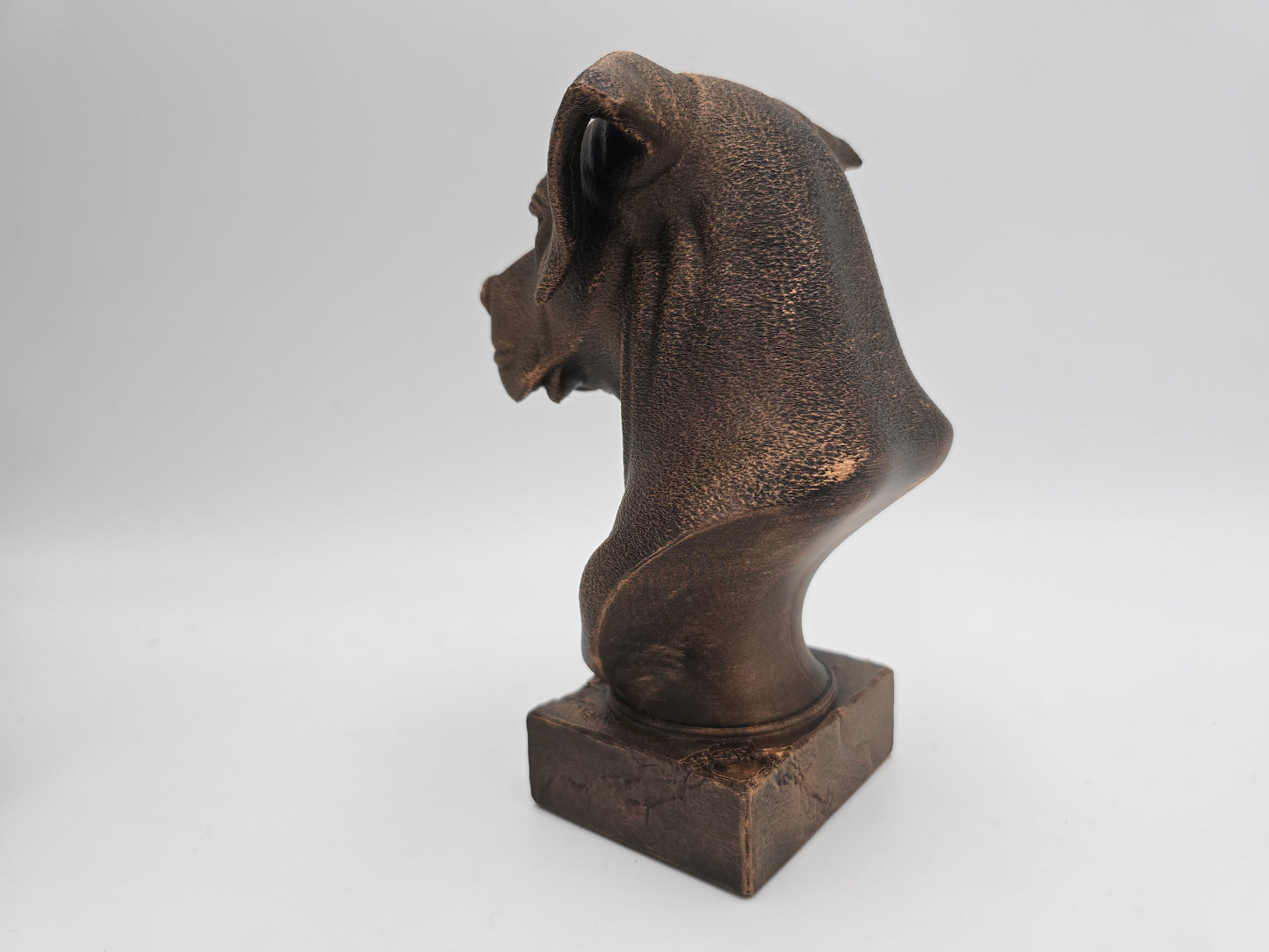 Great Dane Bust