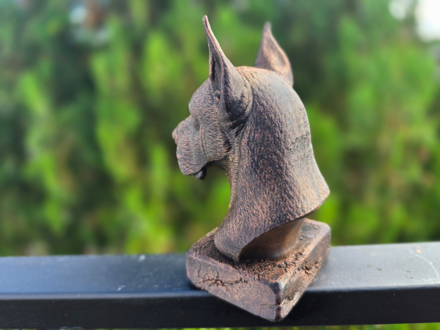 Great Dane Bust