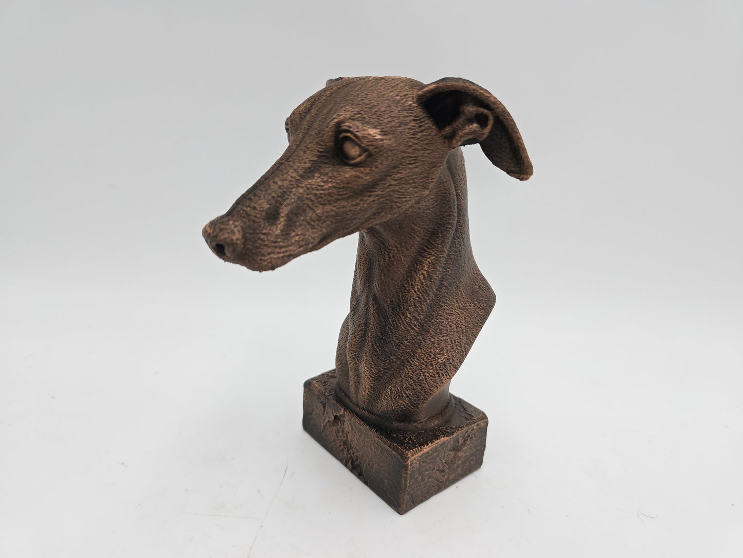 Greyhound Bust