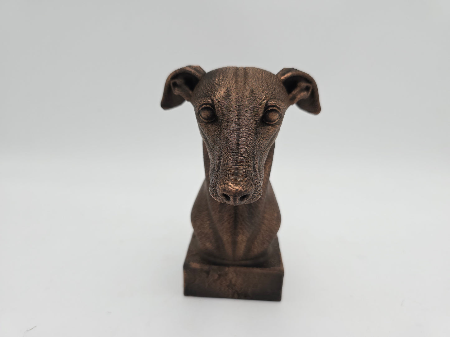 Greyhound Bust