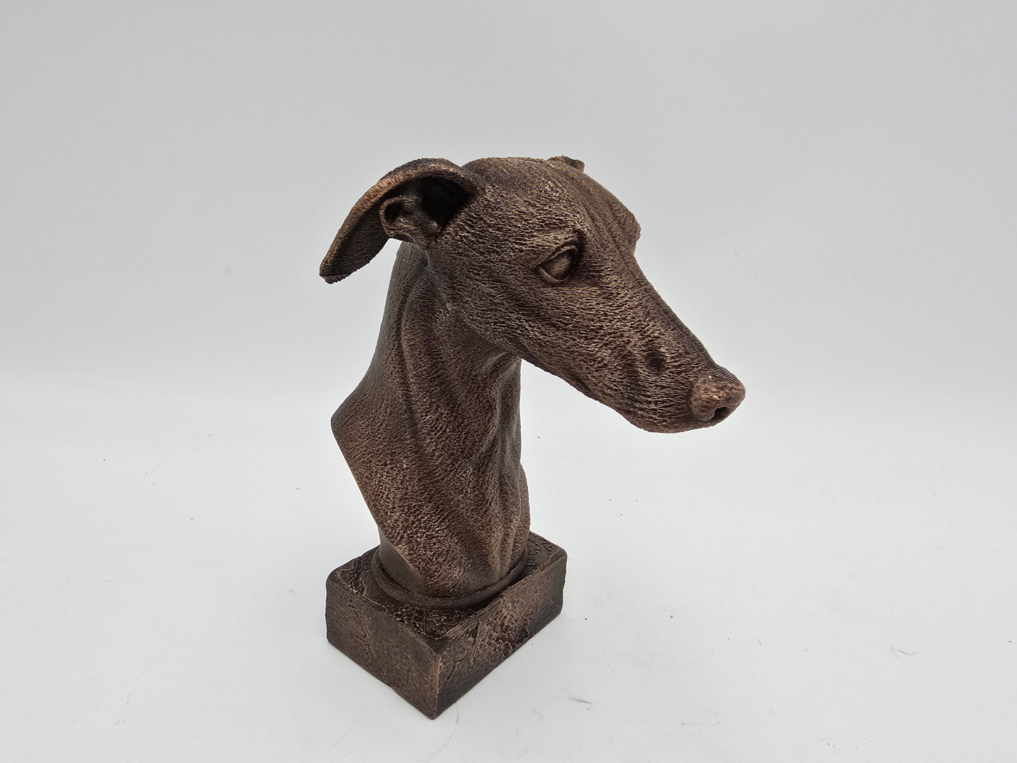 Greyhound Bust