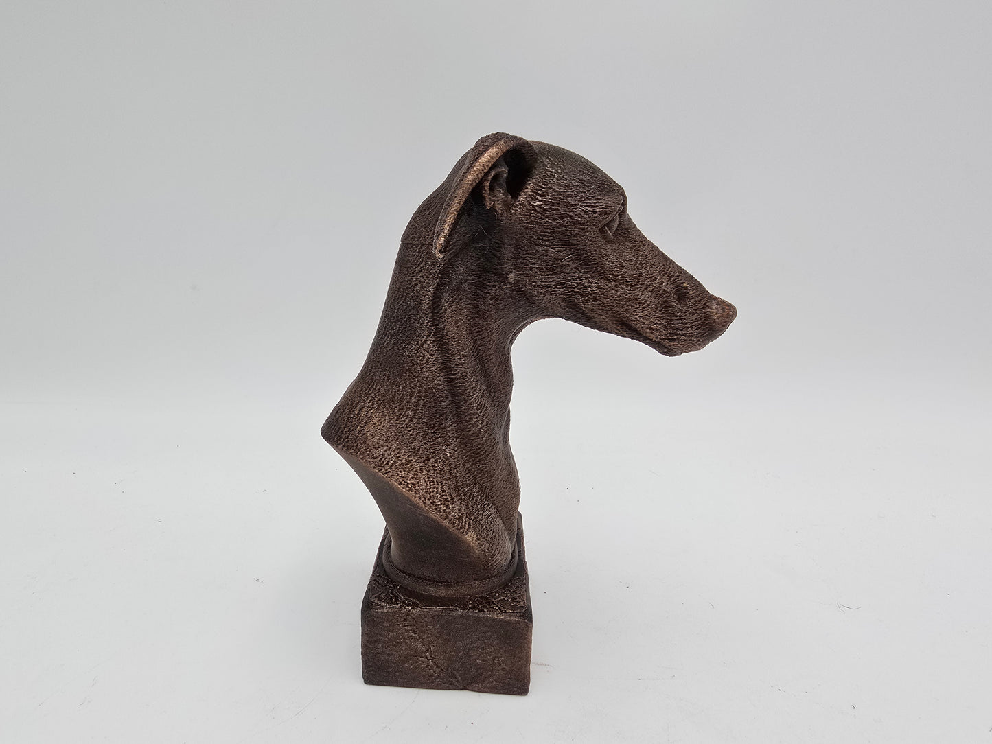 Greyhound Bust