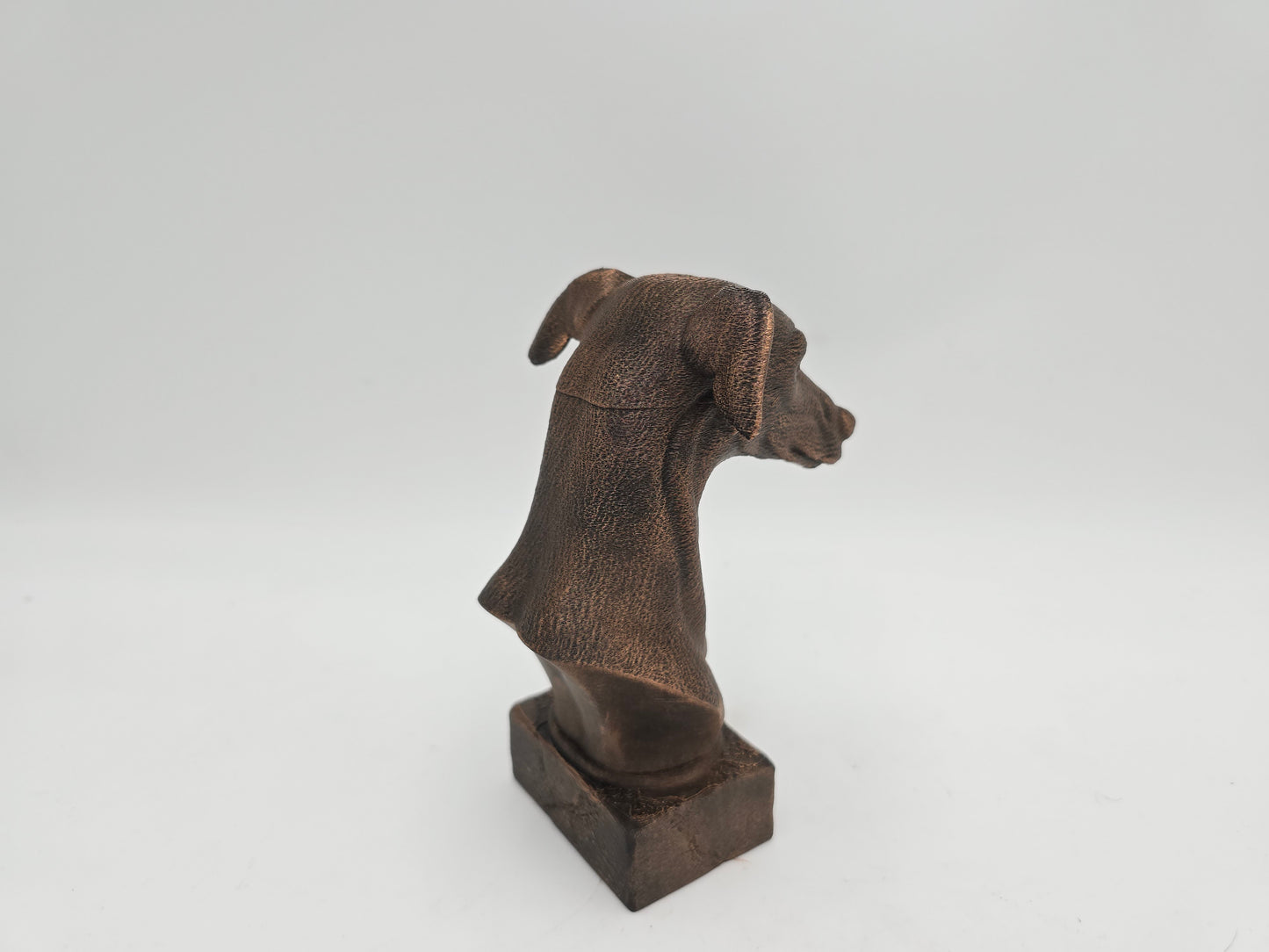 Greyhound Bust