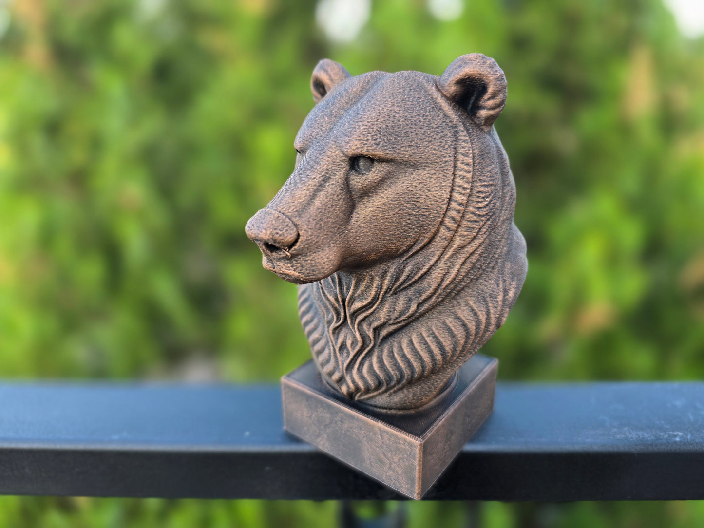 Grizzly Bear Bust