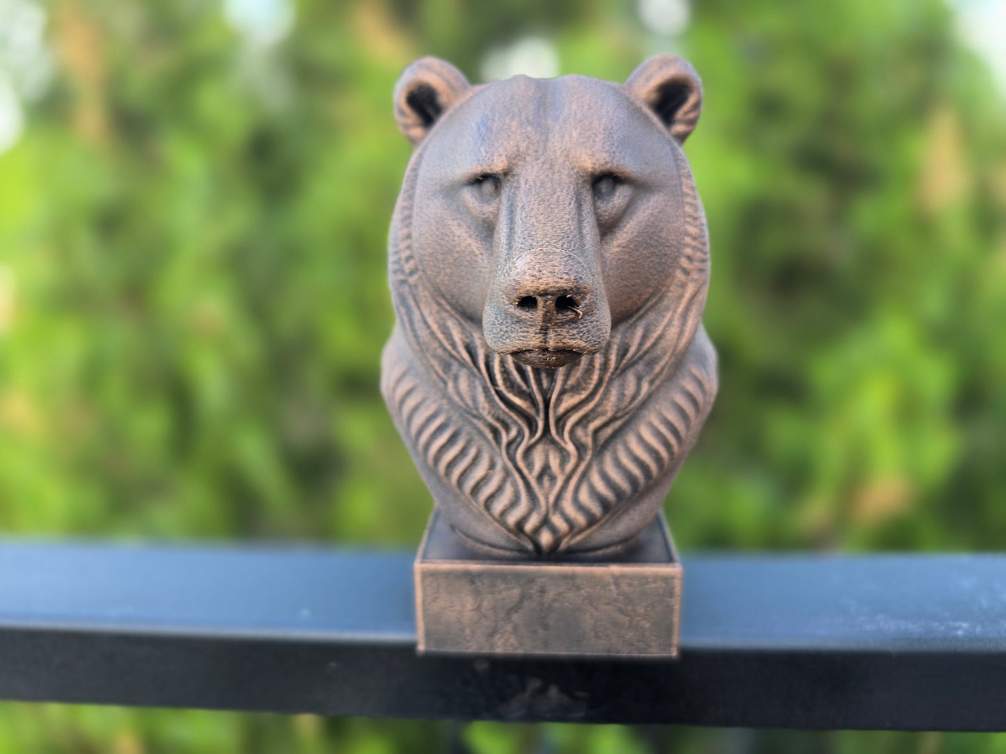 Grizzly Bear Bust