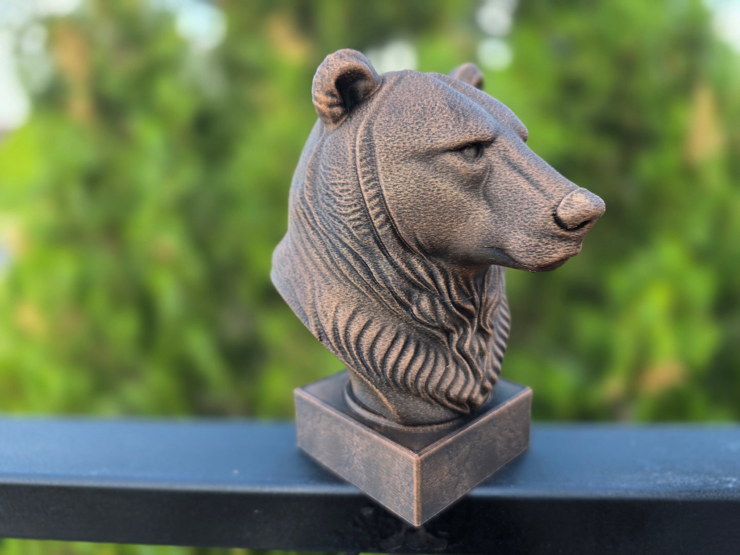 Grizzly Bear Bust