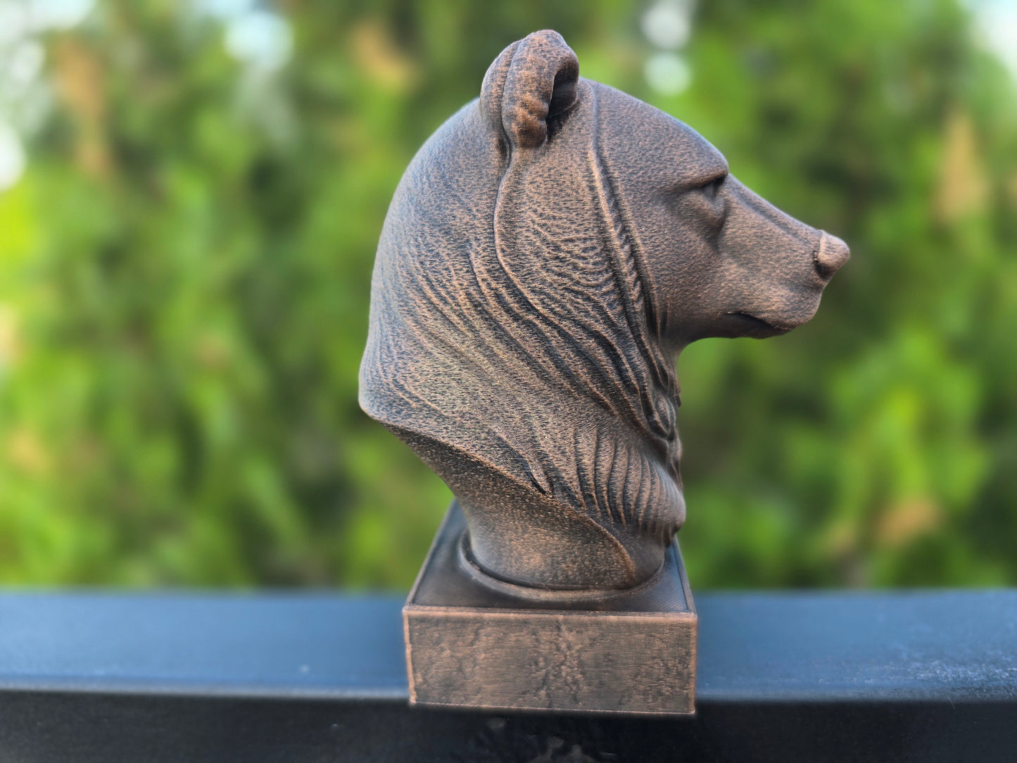 Grizzly Bear Bust