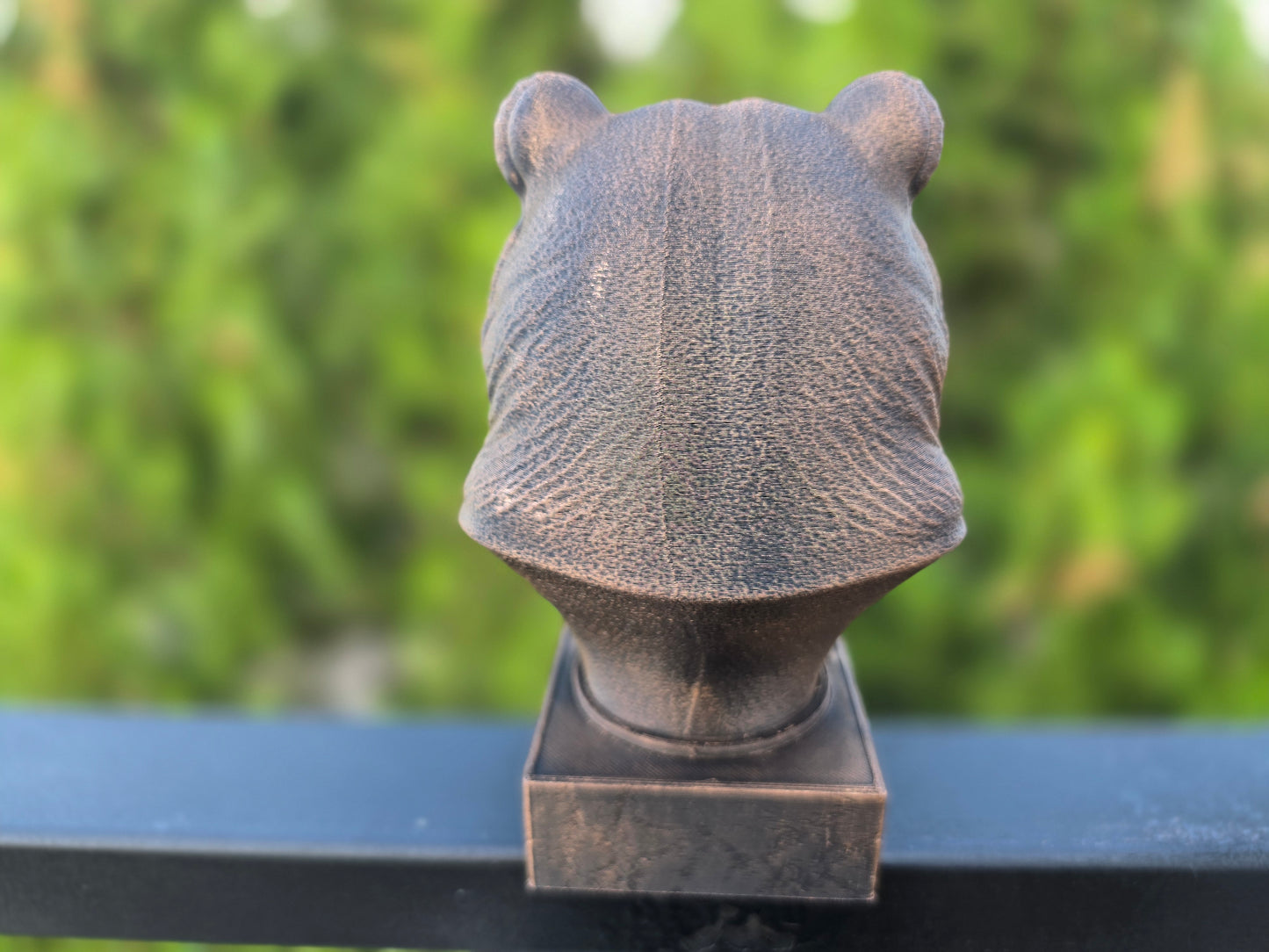 Grizzly Bear Bust