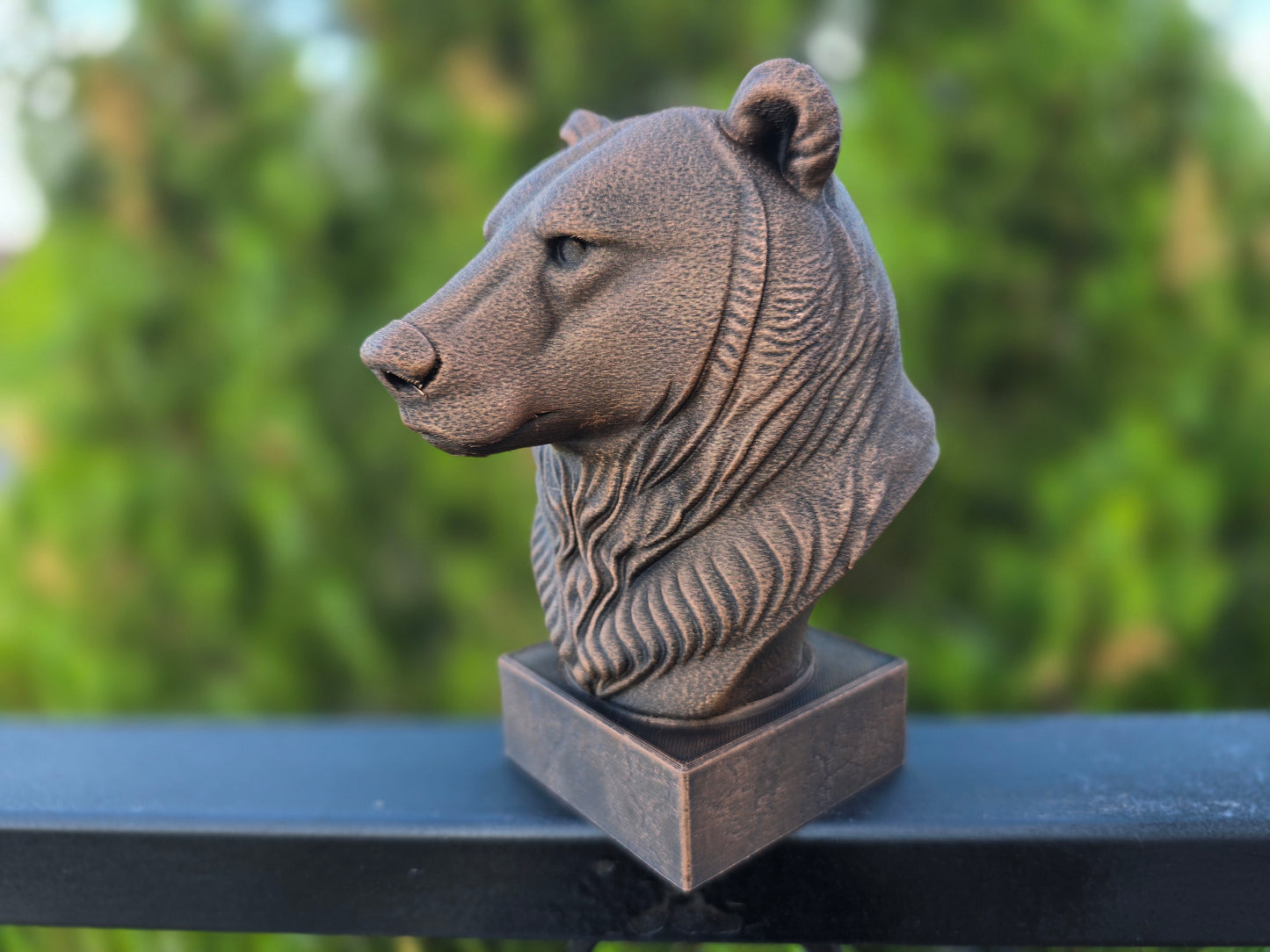 Grizzly Bear Bust