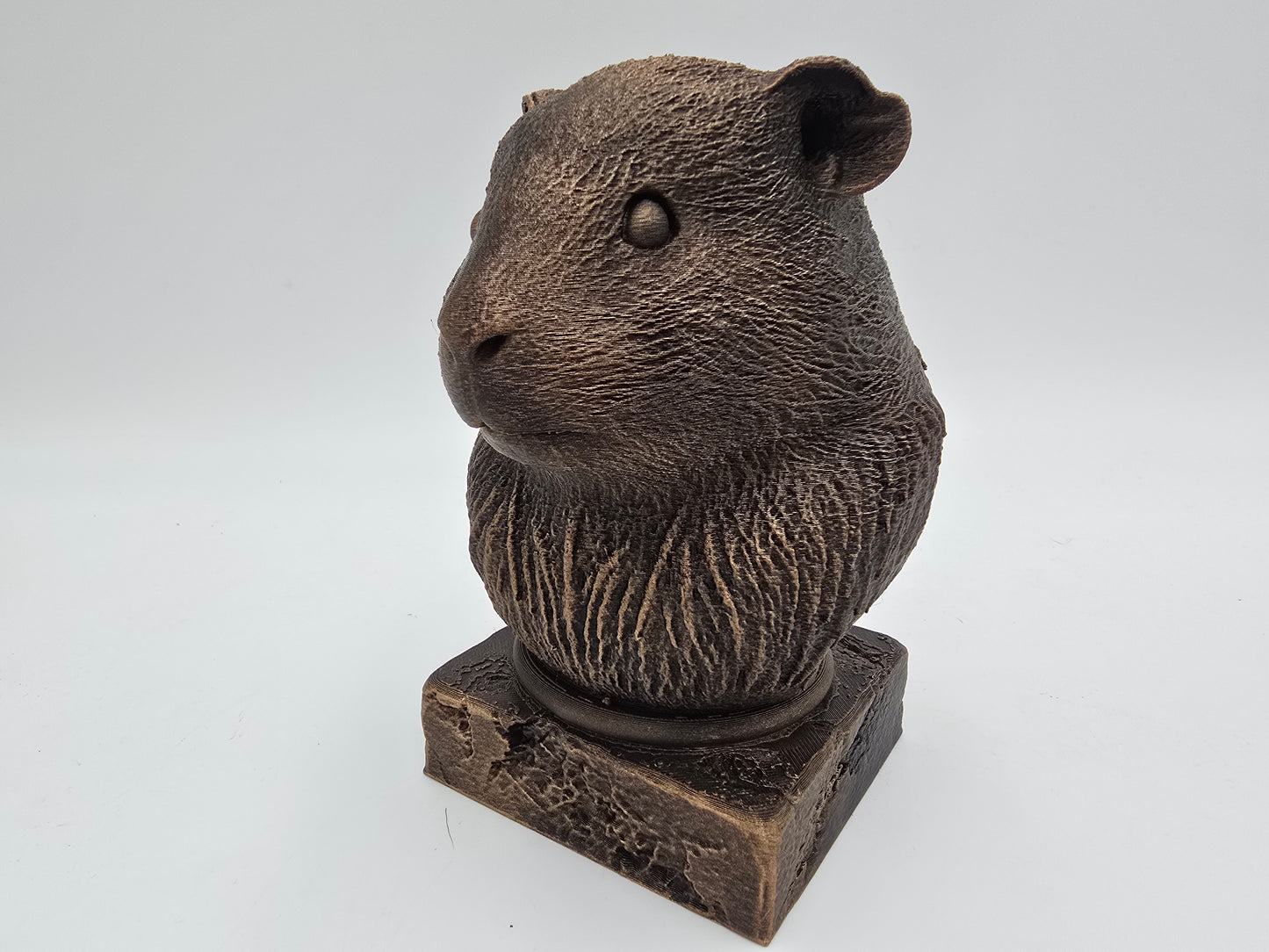 Guinea Pig Bust