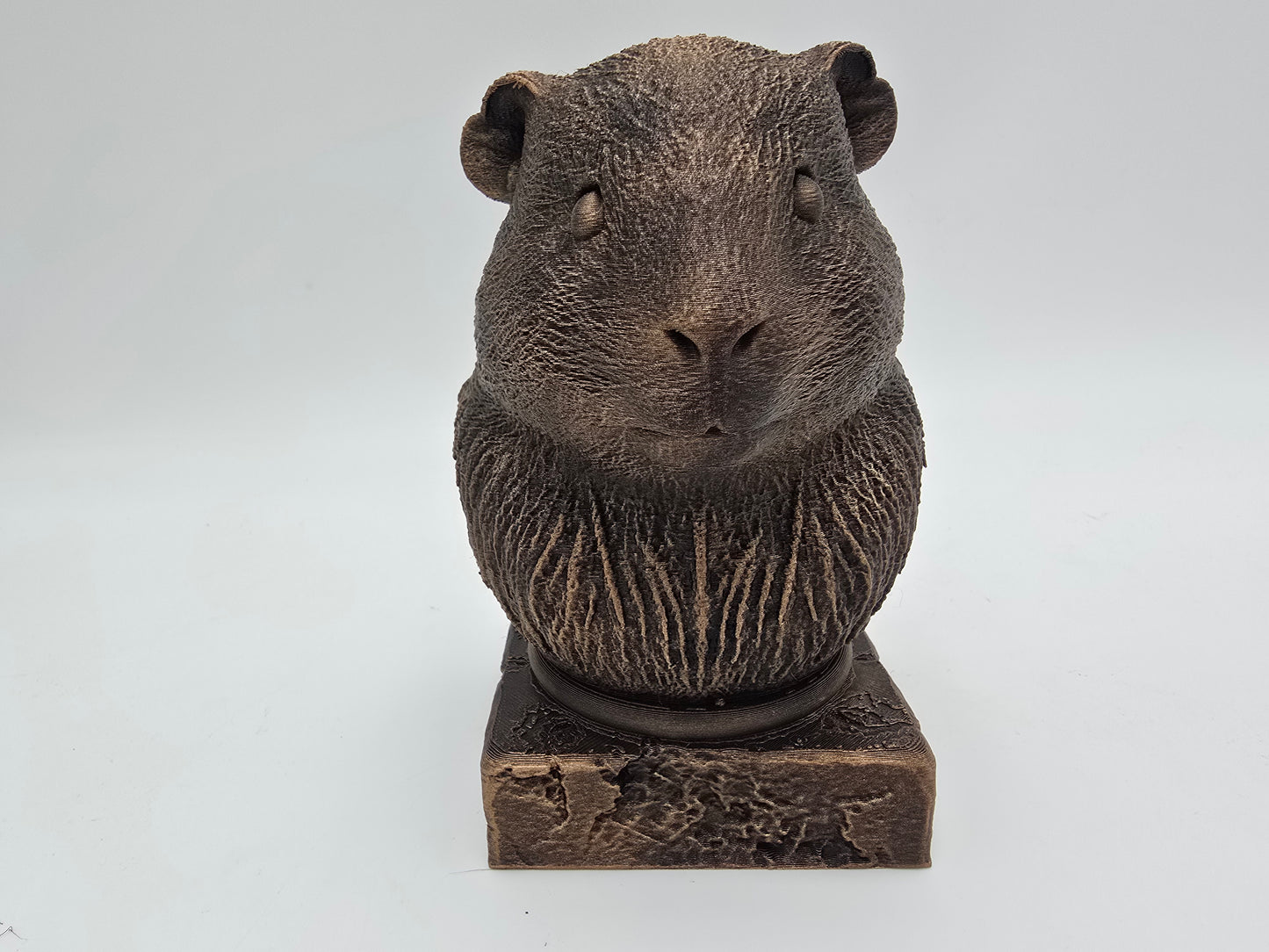 Guinea Pig Bust