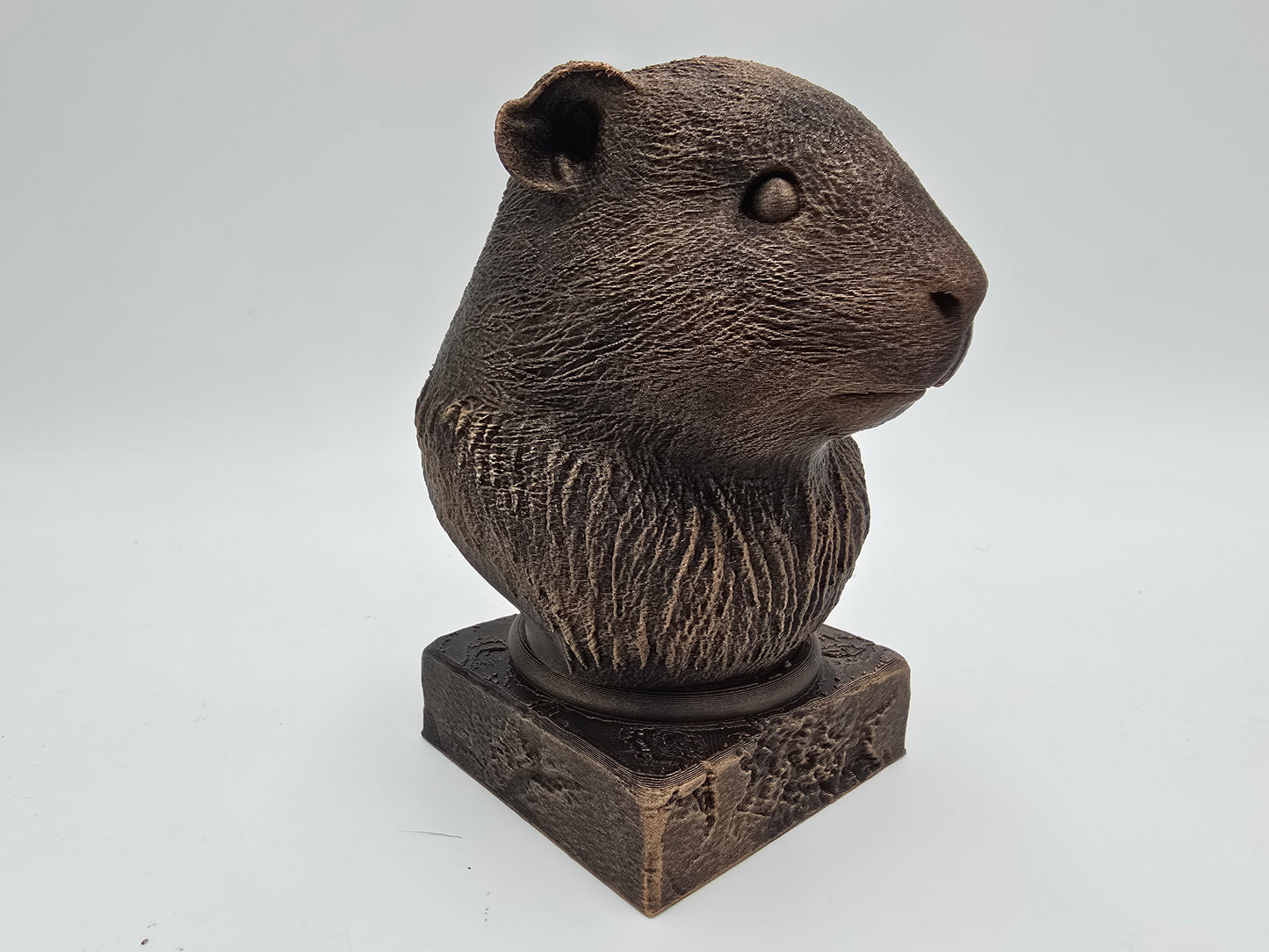 Guinea Pig Bust