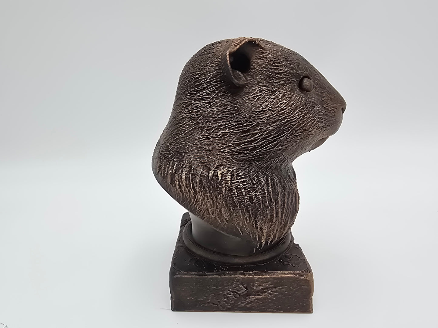 Guinea Pig Bust