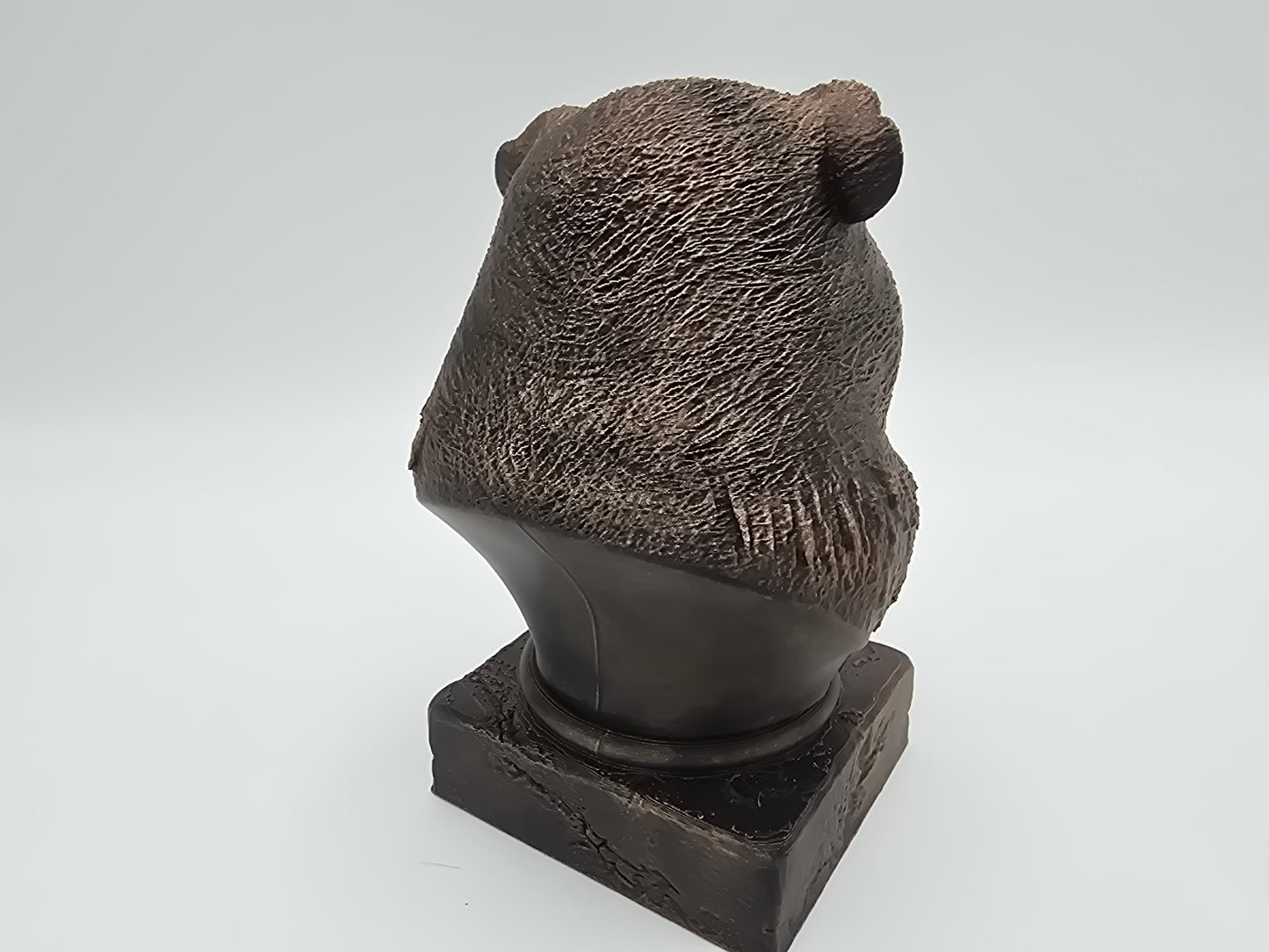 Guinea Pig Bust