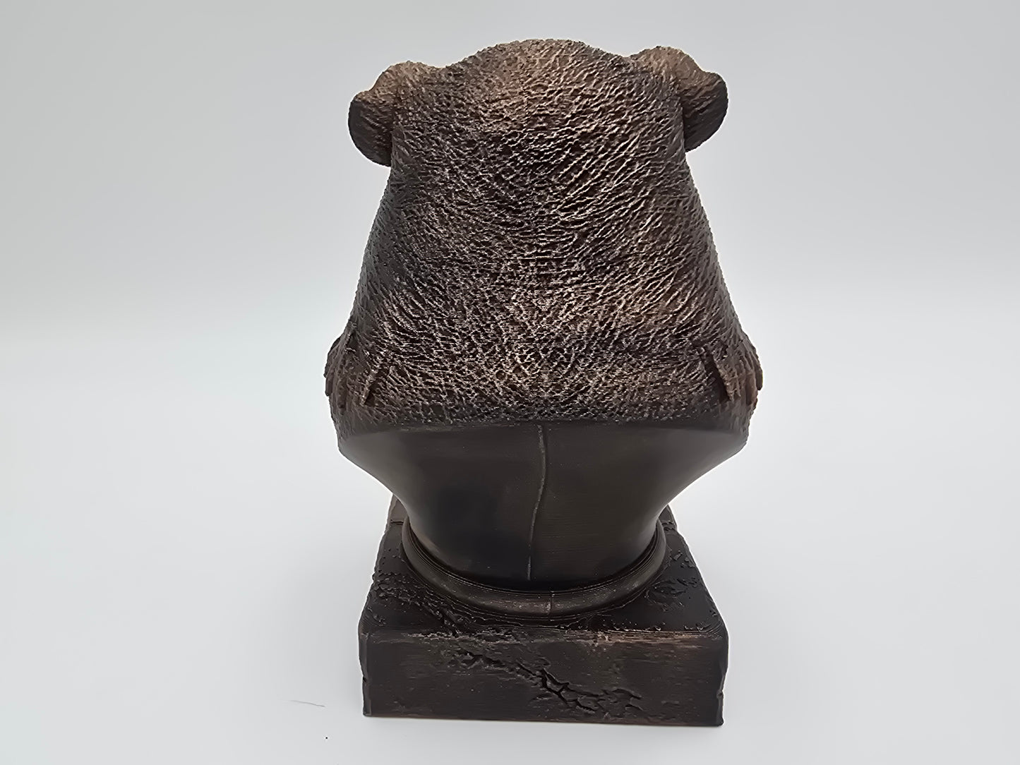 Guinea Pig Bust