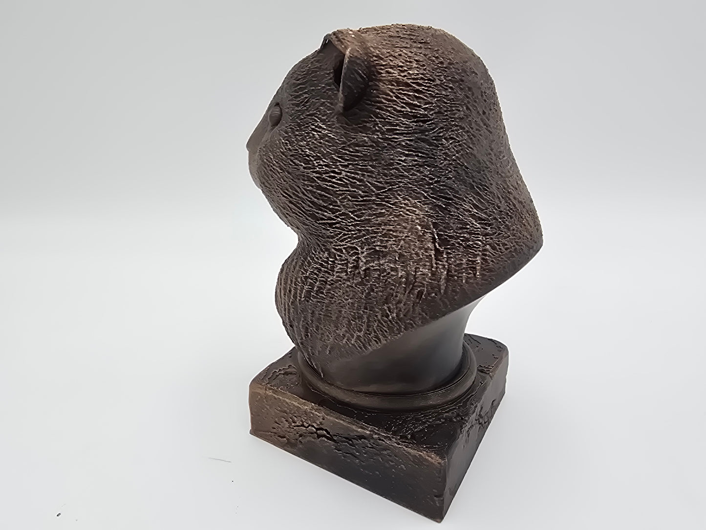 Guinea Pig Bust