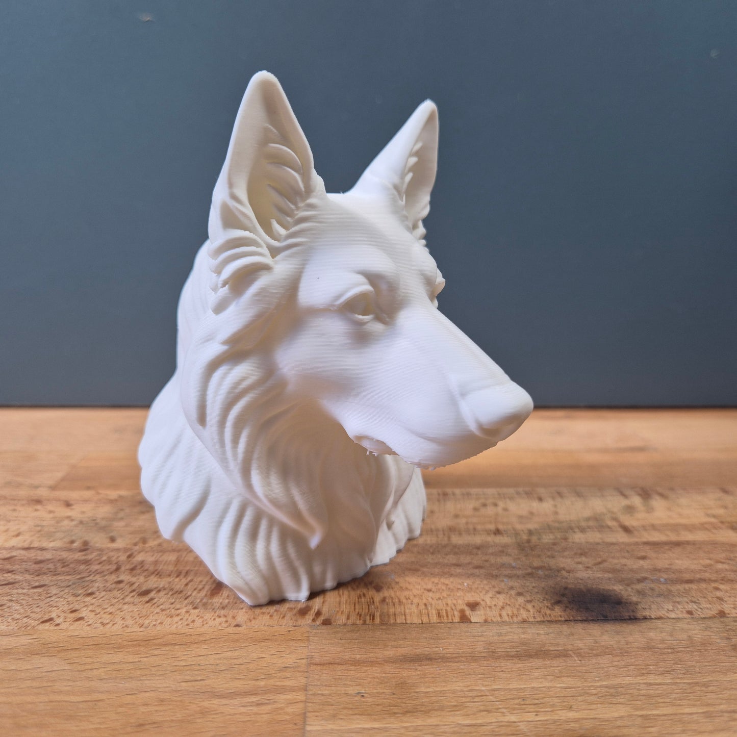German Shepherd Long Hair Bust