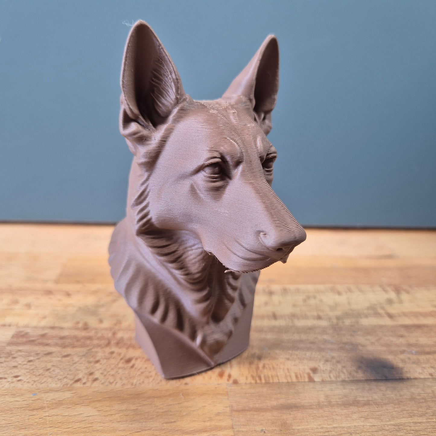 German Shepherd Bust