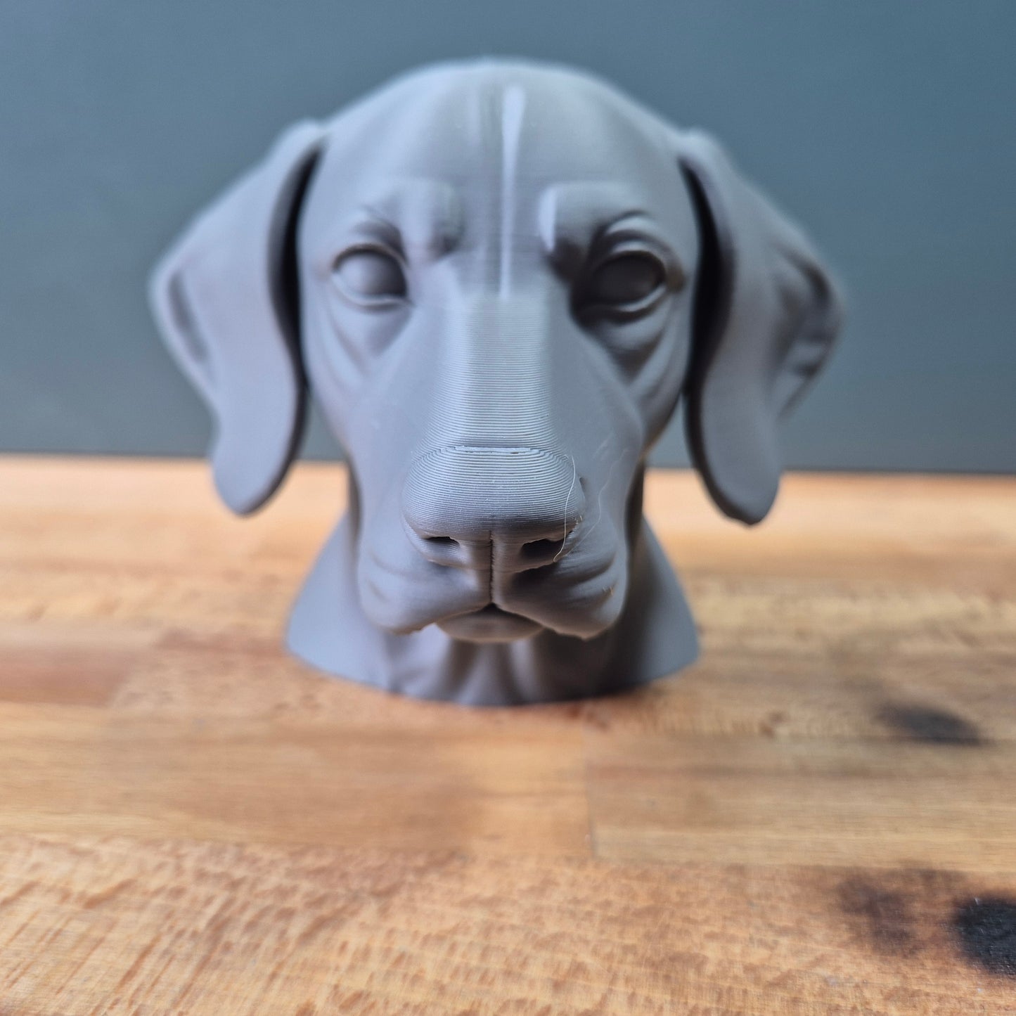 German Shorthaired Pointer Bust