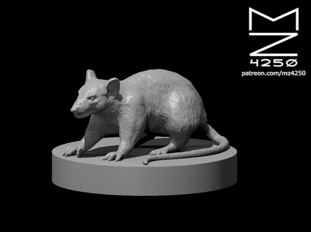 Dungeons & Dragons Giant Rat Miniature